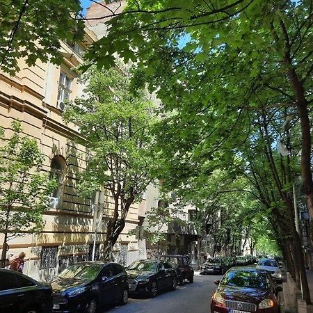 Apartment 51 - Bright, Spacious, Lux 1 Bedroom In The City Center - Stari Grad Belgrade Exterior photo