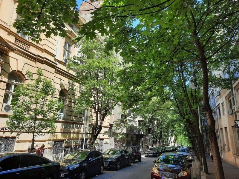 Apartment 51 - Bright, Spacious, Lux 1 Bedroom In The City Center - Stari Grad Belgrade Exterior photo