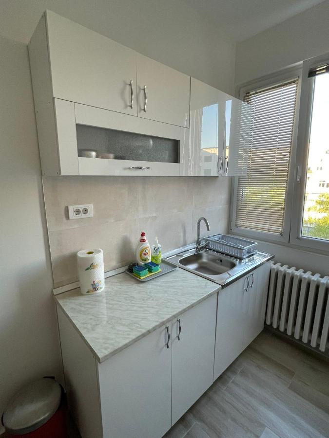 Apartment 51 - Bright, Spacious, Lux 1 Bedroom In The City Center - Stari Grad Belgrade Exterior photo